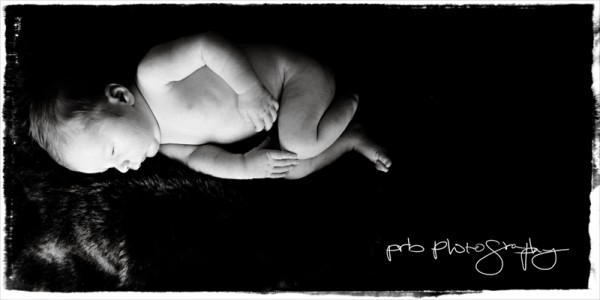 pr3_5394-edit