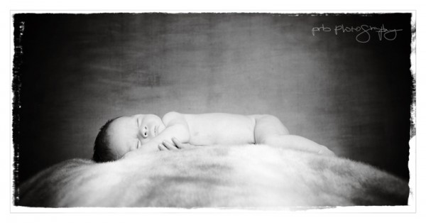 pr3_5417-edit-edit