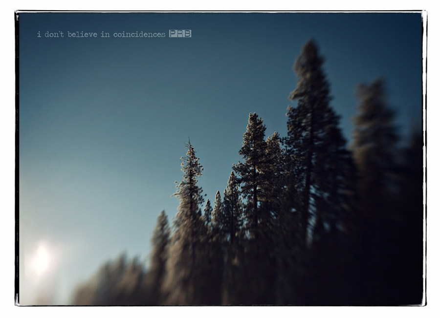 pr3_7812