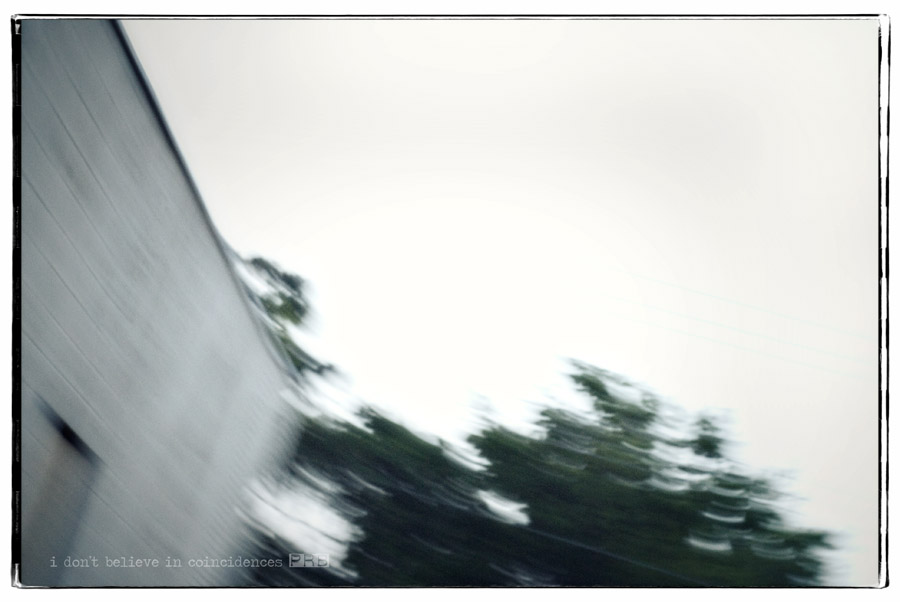 _P3B9670 web