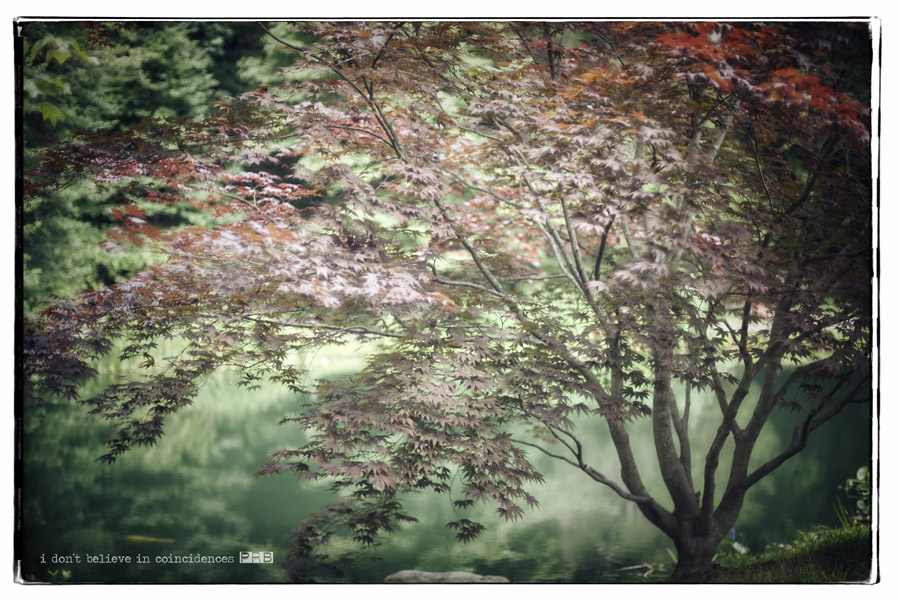 _pr39747 _pr39747