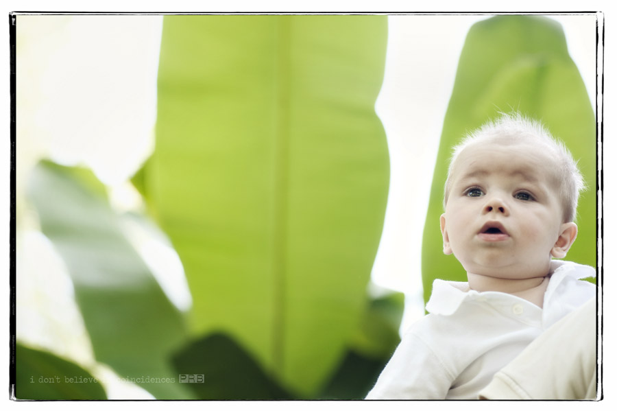 _PR34331-Edit _PR34331-Edit