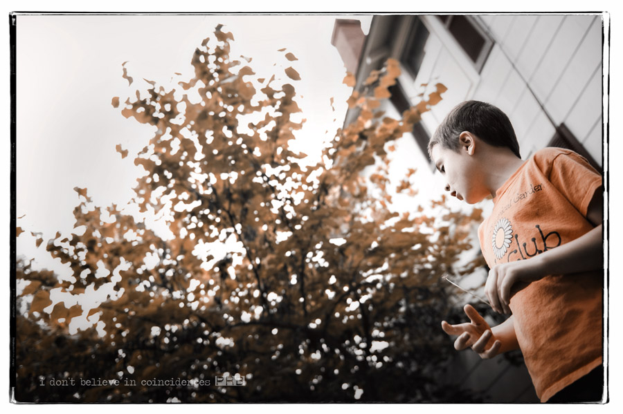 _PR35202 webp _PR35202 webp