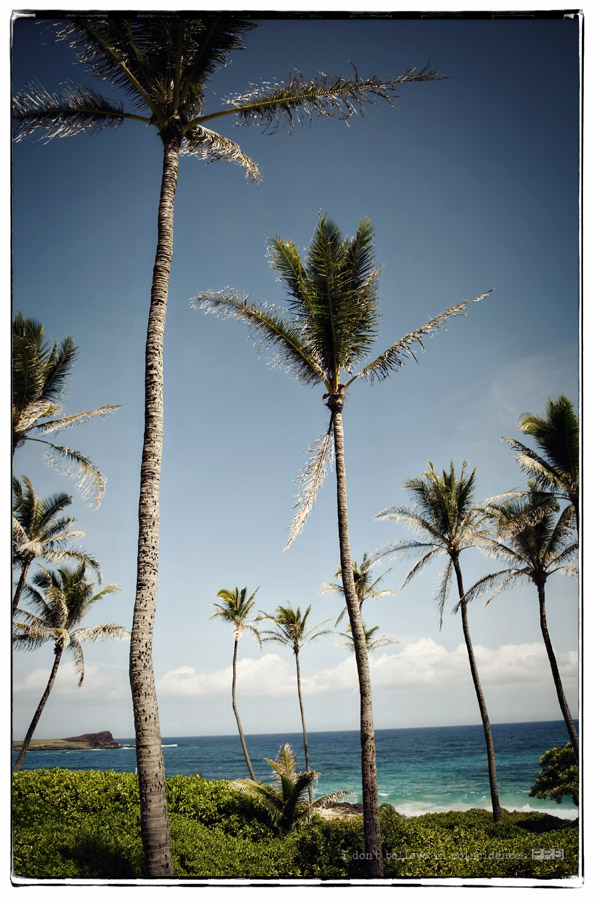 _PR38208-Edit
