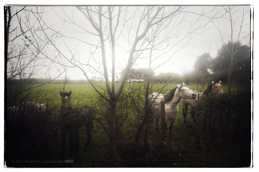 _PR35164-Edit _PR35164-Edit