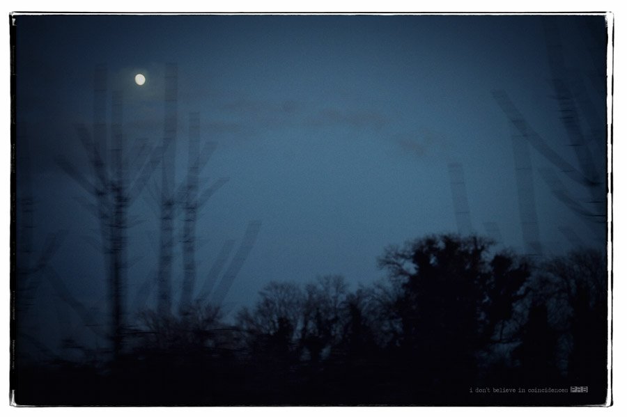 _PR35740 _PR35740